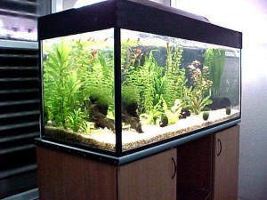 Освещение аквариумов